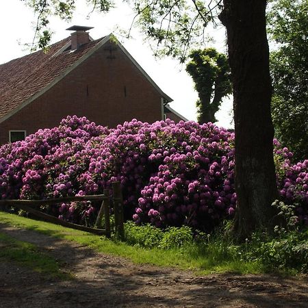 Huis Eedingh Onstwedde Zewnętrze zdjęcie