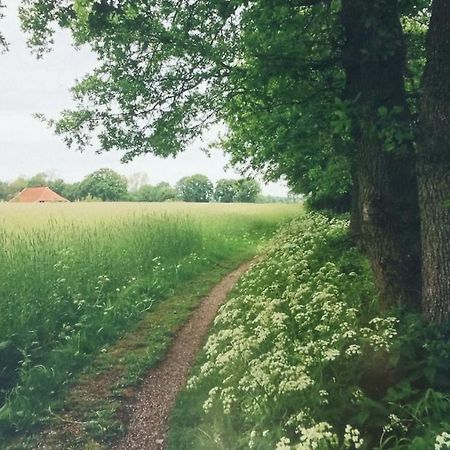 Huis Eedingh Onstwedde Zewnętrze zdjęcie