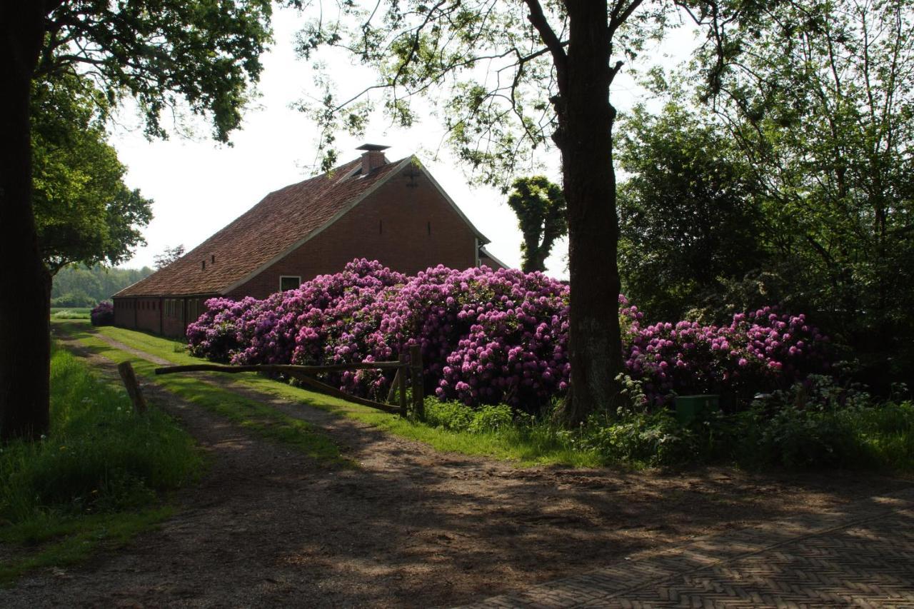 Huis Eedingh Onstwedde Zewnętrze zdjęcie