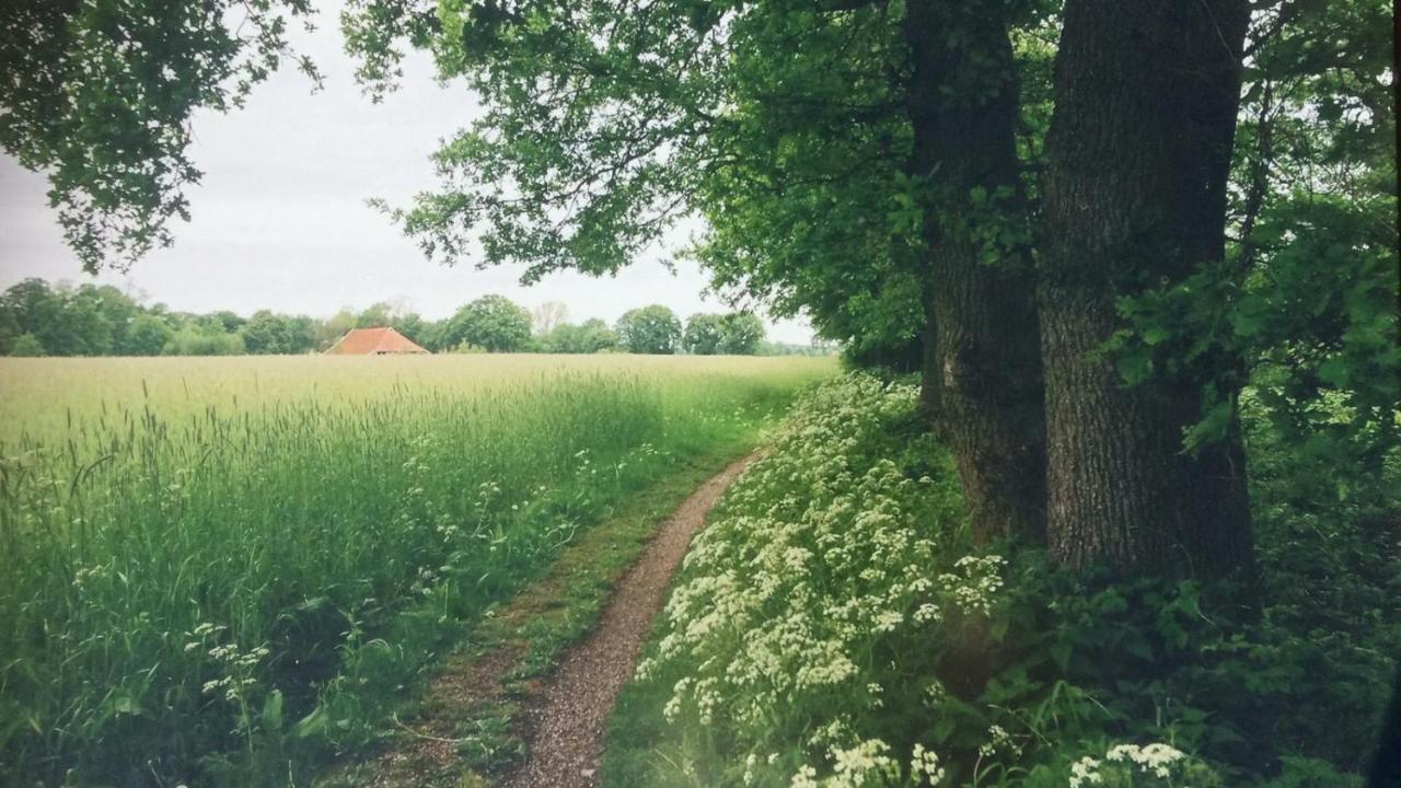 Huis Eedingh Onstwedde Zewnętrze zdjęcie